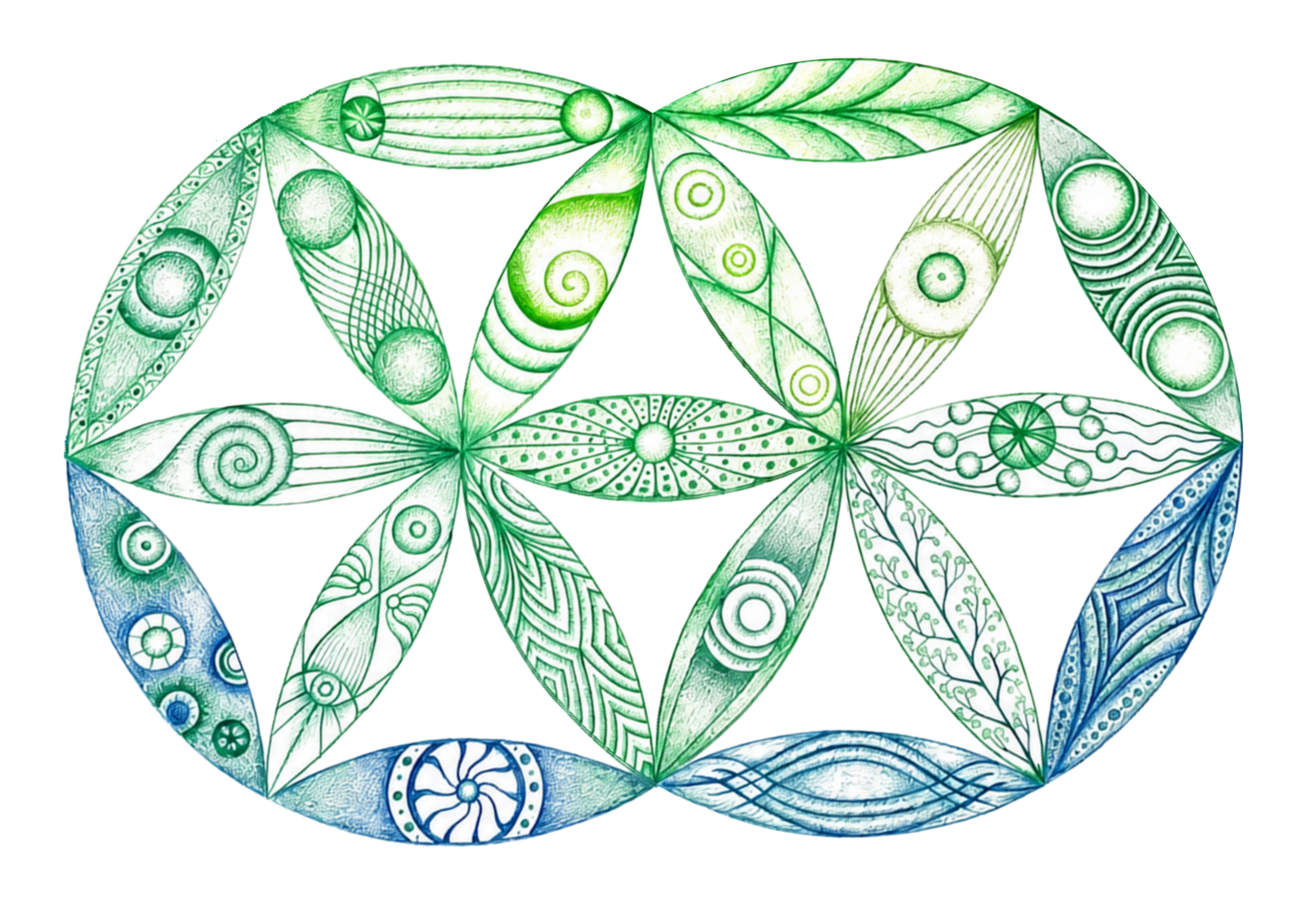 Semilla (7)